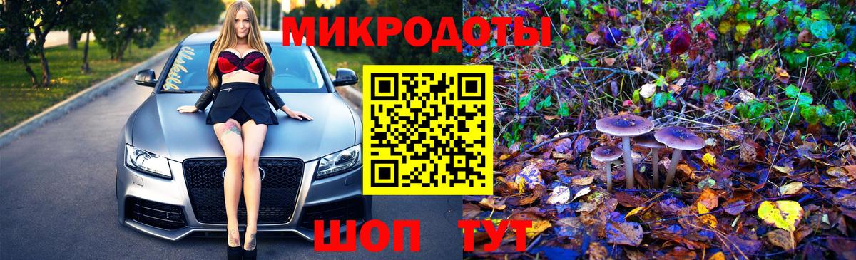 Красный Сулин  Псилоцибиновые грибы GOLDEN TEACHER  Псилоцибиновые грибы GOLDEN TEACHER  Вход с VPN 