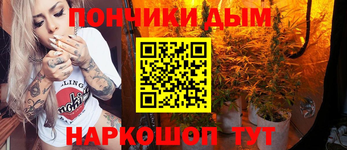 Конопля Bruce Banner  Каннабис сатива  Вход с VPN  Красный Сулин  Каннабис планчик  Конопля ГИДРОПОН 